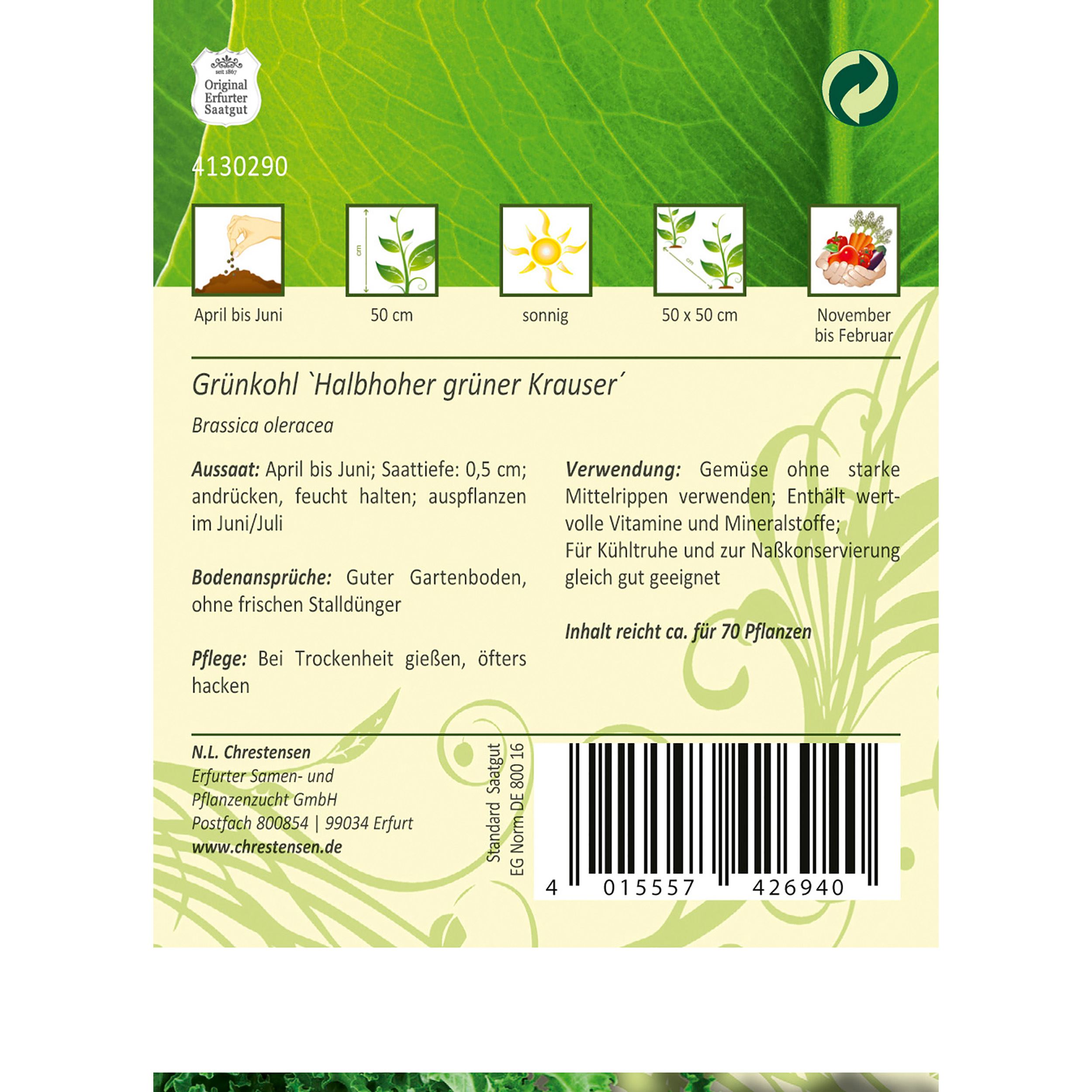 Grünkohl, Halbhoher grüner Krauser für ca. 70 Pflanzen