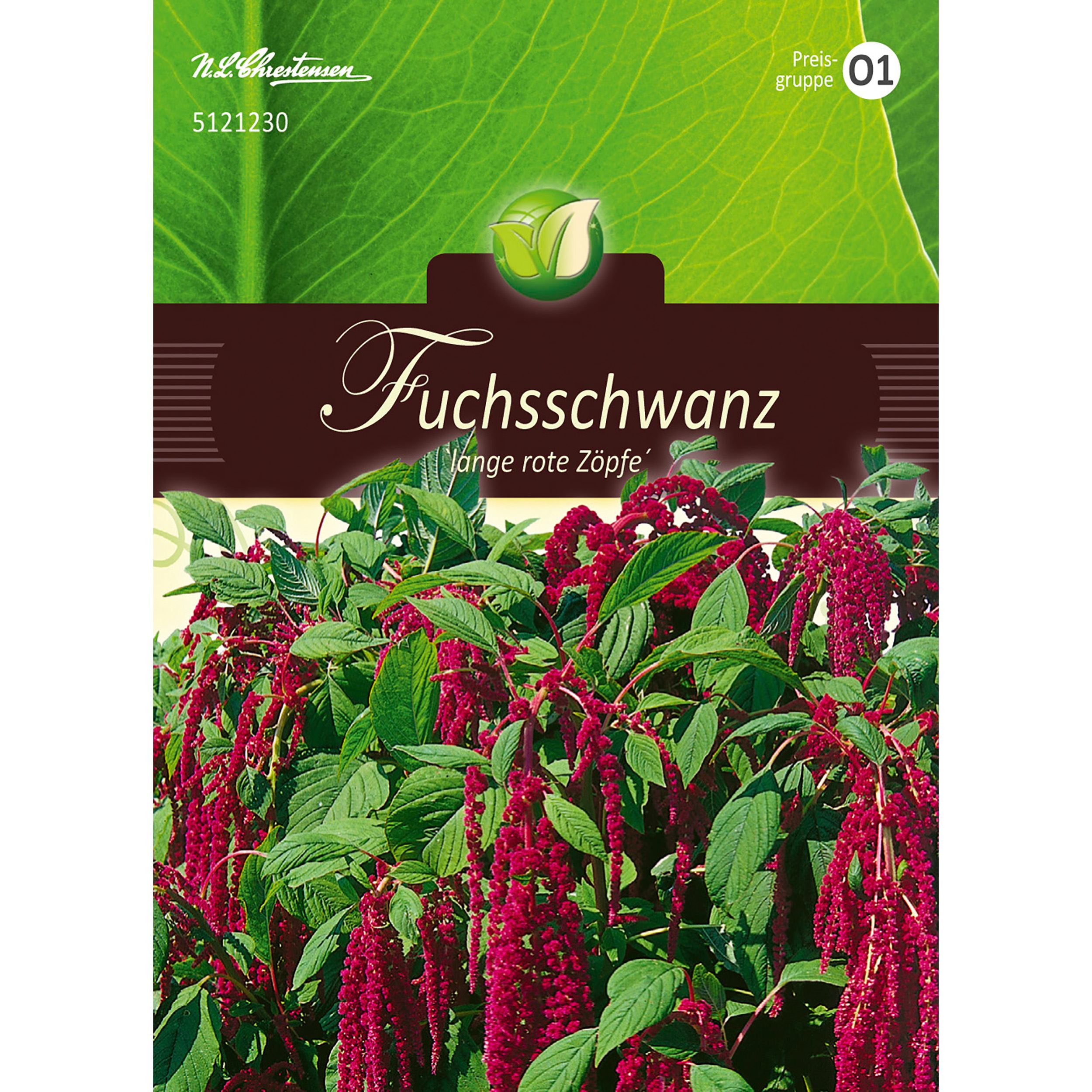 Amaranthus, Fuchsschwanz, rotblättrig