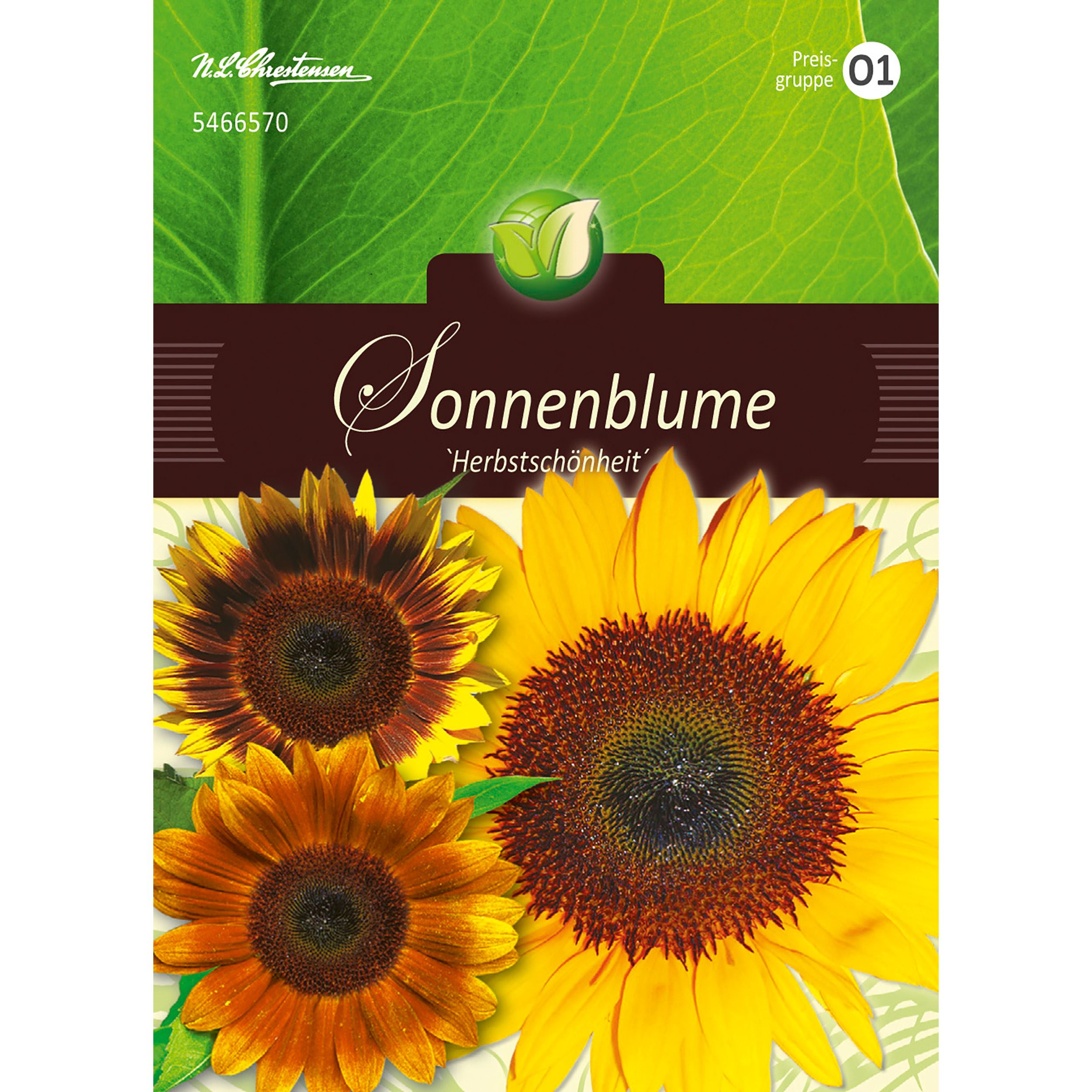 Helianthus,Sonnenblume,Mischung