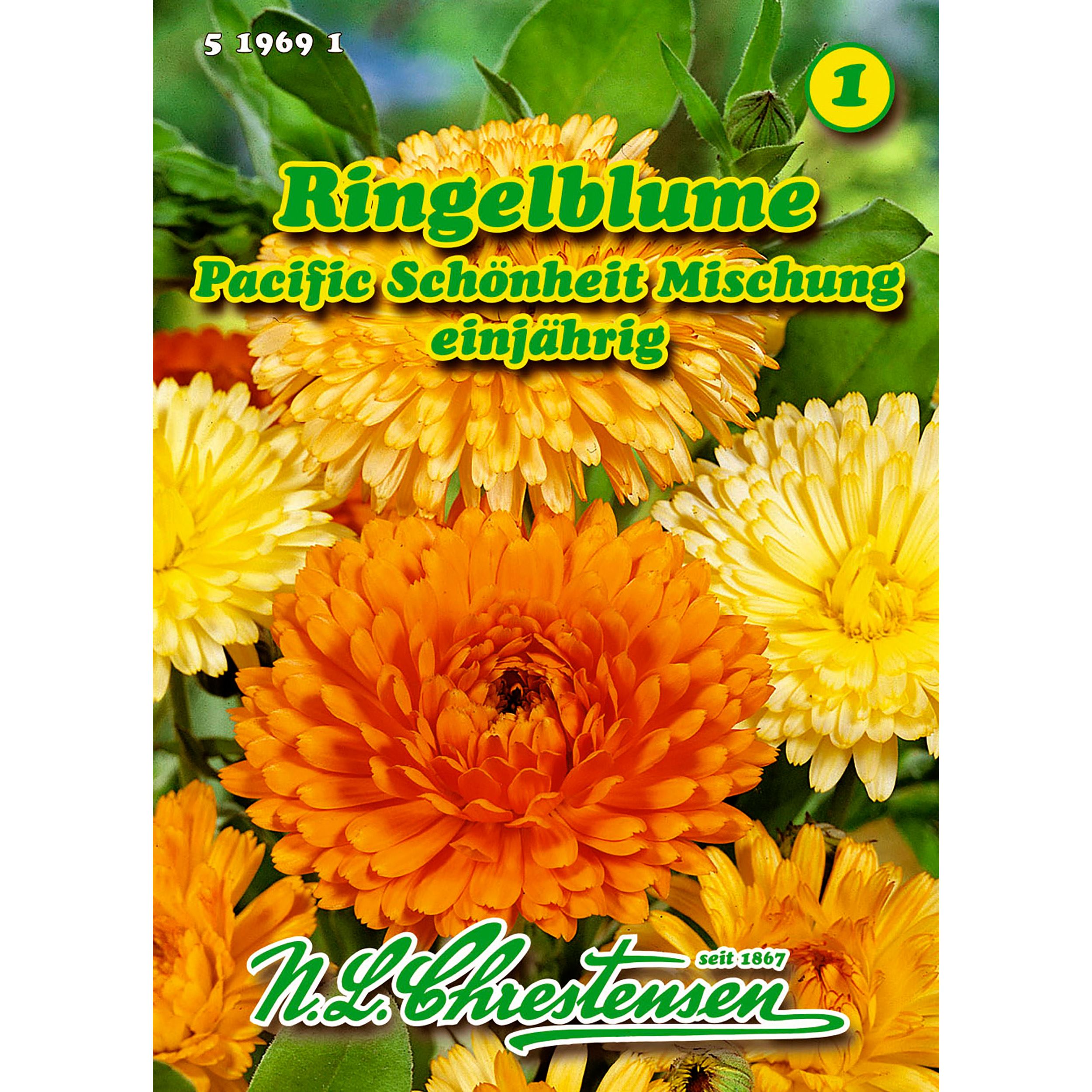 Calendula, Ringelblume, Pacific Schönheit, Mischung für ca. 80 Pflanzen