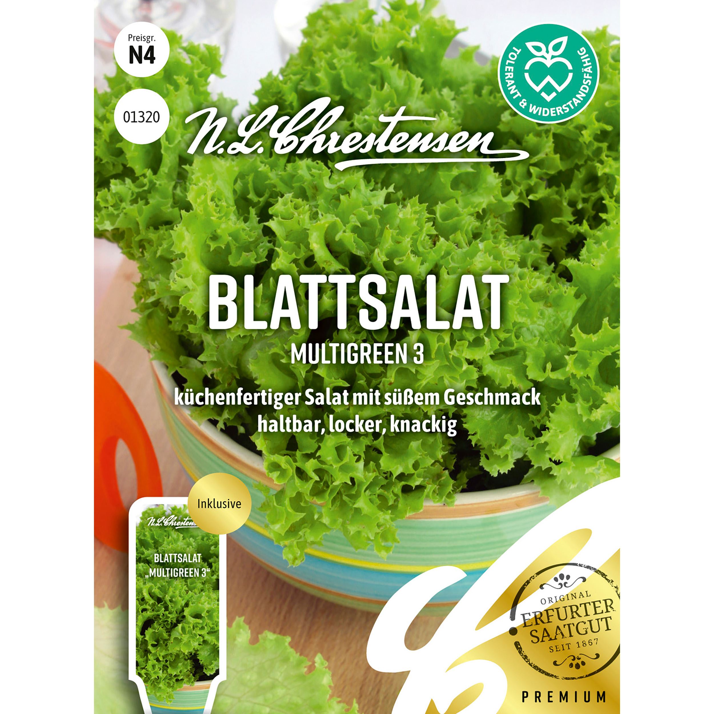 Blattsalat Multigreen 3